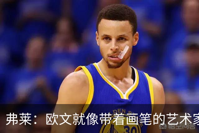 弗莱：欧文就像带着画笔的艺术家 他的进攻动作衔接就像画画一样